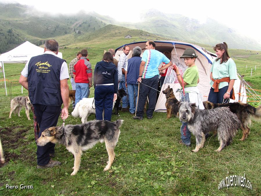 27 Tanti i partecipanti....jpg